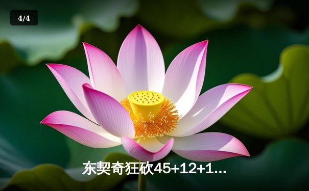 东契奇狂砍45+12+14，独行侠加时险胜凯尔特人，总决赛悬念再起 - 4